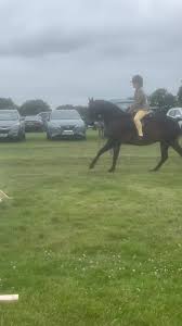 Image result for Chobham and District Riding Club