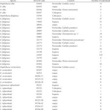 Attēlu rezultāti vaicājumam “Hymenostylium recurvirostrum macro”
