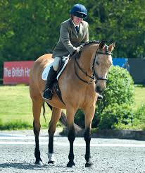 Image result for North Lammermuir Riding Club