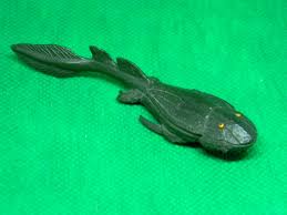 Attēlu rezultāti vaicājumam “Placodermi”