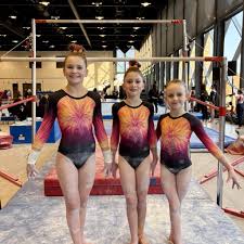Image result for Pegasus Trampoline Club