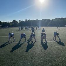 Image result for Colenorton Dragons