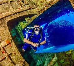 Image result for Canary Divers