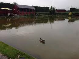 Image result for Uxbridge Ladies Bowling Club