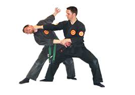 Image result for Inyo Karate Do Ninbukan