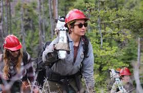 Image result for Hotshots