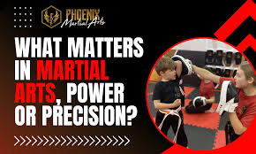 Image result for Precision Martial Arts