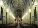 Half-Ashed Worship | I'm Just Saying