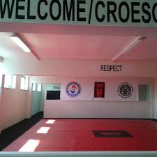 Image result for A BRITISH JUJITSU RYU in Lancing