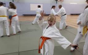 Image result for Junsui Shotokan Karate Do