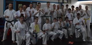 Image result for Sandokai Karate