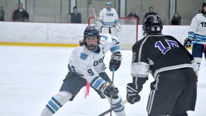 Image result for York University Hockey Club