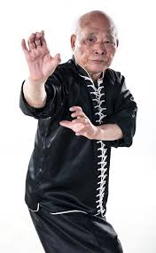 Image result for Chat Ying Kuen Kung Fu Club