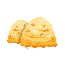 Image result for 붶