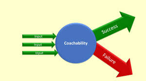 Image result for Coachability