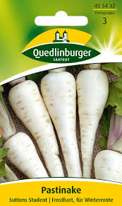 Image result for Pastinake