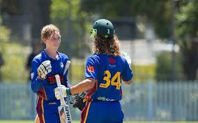 Image result for Hook Norton Junior Cricket Club