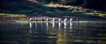 Image result for Bewl Canoe Club