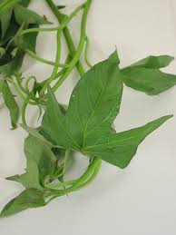 Attēlu rezultāti vaicājumam “Solanum tuberosum leaf”