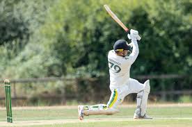 Image result for Bere Regis Cricket Club