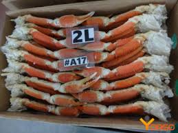 Image result for Chionoecetes opilio