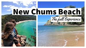 Image result for new chums beach