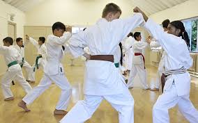 Image result for Harpenden JKA Karate