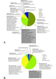 Attēlu rezultāti vaicājumam “Symphytocarpus impexus spores”