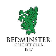 Image result for Chew Magna Cricket Club