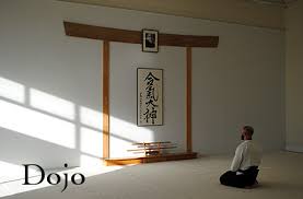 Image result for Aikido - Shobu UK