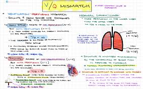 Image result for  v    q