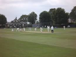 Image result for Chesterfield Cricket Club