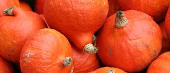 Image result for Kürbis