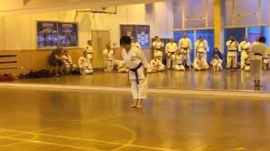 Image result for enpi dojo