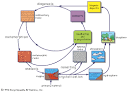 geochemical cycle: chemical elements -- Britannica Online Encyclopedia