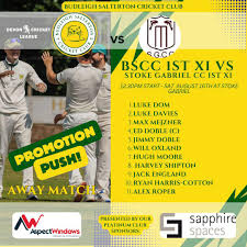 Image result for Budleigh Salterton Cricket Club