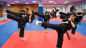 Image result for Arlington Martial Arts Academy