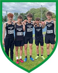 Image result for Deeside Aac