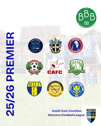 Image result for Beecholme Belles Banstead FC