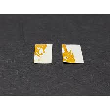 Attēlu rezultāti vaicājumam “Physarum flavidum”