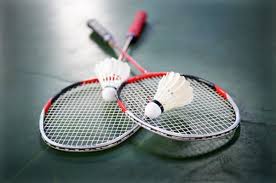 Image result for Crofton Arrows Badminton Club