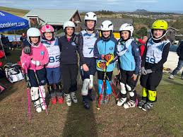 Image result for Gordon Skiers