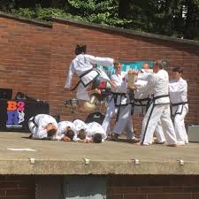 Image result for National Forest Taekwon-do