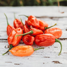 Afbeeldingsresultaat voor aji dulce sweet pepper