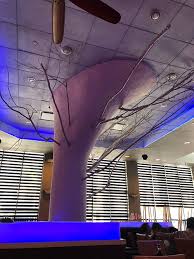 Image result for Totton Octopush Club