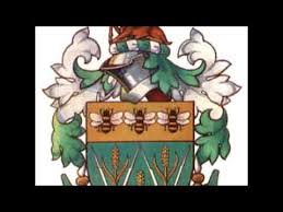 Image result for Welwyn Garden City Cricket Club