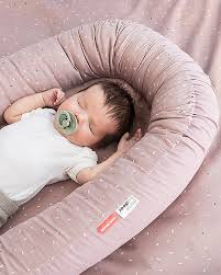 Attēlu rezultāti vaicājumam “Diaperis boleti nest”