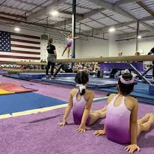Image result for Tessaro Gymnastics Club