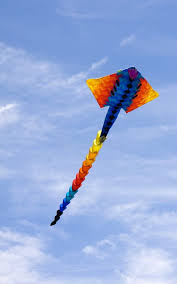 Image result for Brighton Kite Fliers