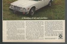 Image result for Grosvenor Brown 1985 Jaguar